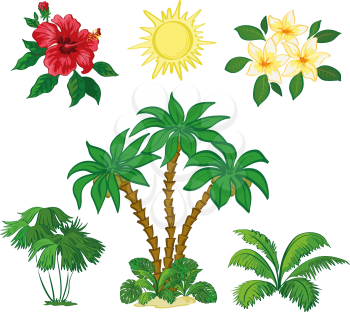 Exotic Set, Sun, Palm Trees, Hibiscus and Plumeria Flowers, Green Plants and Leaves Isolated on White Background. Vector
