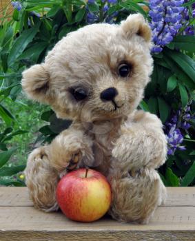 Handmade, the sewed toy: teddy-bear Lucky with an apple among flowers