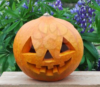 Symbol Halloween holiday, a pumpkin Jack ? Lantern in on a board among flowers