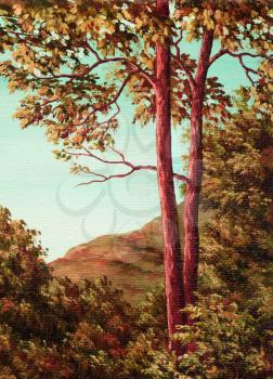 Picture, sunrise in a mountain forest. Hand draw painting, oil paints on a canvas