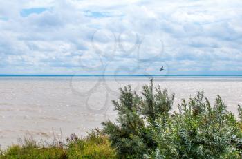 View from the shore of the man-made lake, reservoir Ob Sea, Novosibirsk, West Siberia, Russia