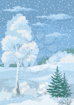 Christmas Winter Forest Landscape with Birch, Firs Trees and Sky with Snow and Clouds. Eps10, Contains Transparencies. Vector