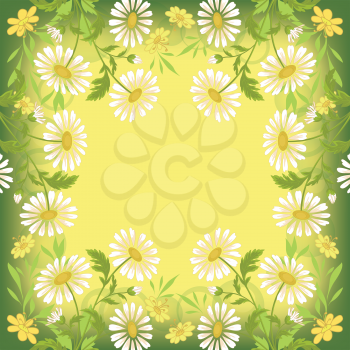 Floral yellow and green holiday background with chamomile flowers. Vector