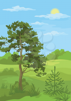 Summer woodland landscape with pine and fir trees, sun and blue sky. Vector