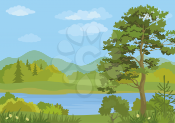 Landscape with Pine, Fir Trees, Grass and Flowers on the Shore of a Mountain Lake under a Blue Cloudy Sky. Vector