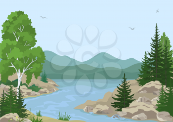Landscape with Birch, Fir Trees and Grass on the Rocky Bank of a Mountain River under a Blue Sky with Birds. Vector