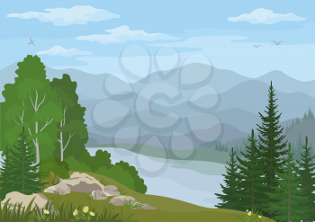Landscape with Birch, Fir Trees, Flowers and Grass on the Rocky Bank of a Mountain Lake under a Blue Cloudy Sky with Birds. Vector