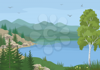 Landscape with Birch, Fir Trees, Flowers and Grass on the Shore of a Mountain Lake under a Blue Sky with Birds. Vector