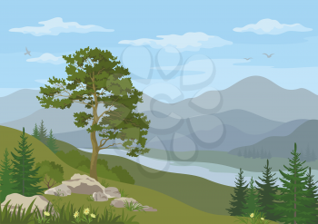 Mountain landscape with coniferous trees, river, flowers and blue cloudy sky. Vector
