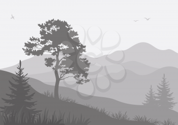 Mountain landscape with pine and fir trees and birds, grey silhouettes. Vector