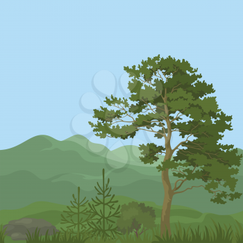 Seamless, summer mountain landscape with pine trees, firs, green grass and blue sky. Vector