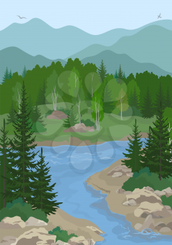 Summer Mountain Landscape with Blue River, Green Fir, Birch Trees and Bushes on the Rocky Shore and Birds in the Sky. Vector