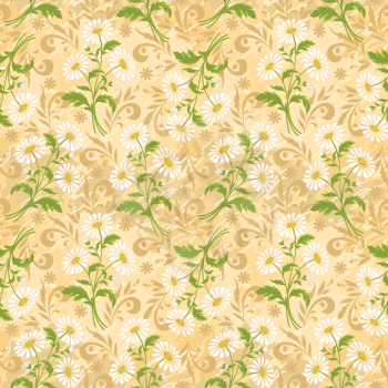 Seamless floral background, chamomile flowers and silhouette on white. Vector