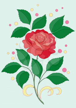 Flower rose with green leaves and scarlet petals and confetti on blue background. Vector