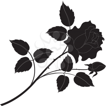 Flower rose, petals and leaves black silhouettes isolated on white background. Vector