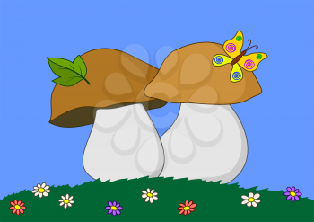 Cartoon, mushrooms: flowers, green grass, butterfly. Vector