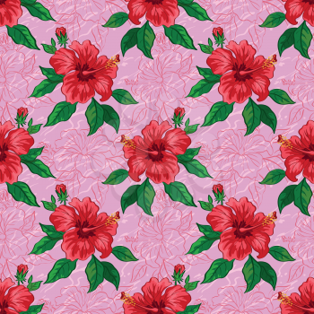 Seamless floral background, pattern of hibiscus flowers, leaves and contours. Vector