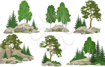 Set Landscapes, Coniferous and Deciduous Trees, Pine, Fir Tree, Birch, Flowers and Grass on the Rocks, Isolated on White Background. Vector