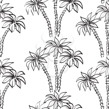 Seamless pattern, palm trees, black contours isolated on white background. Vector