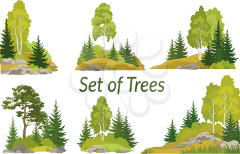 Set Summer and Autumn Landscapes, Isolated on White Background Coniferous and Deciduous Trees and Grass on the Rocks. Vector