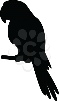 Clever Speaking Parrot Sits on a Wooden Pole, Black Silhouette on White Background. Vector