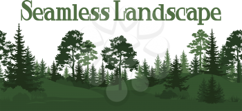 Seamless Horizontal Summer Forest with Pine, Fir Tree, Grass and Bush Green Silhouettes on White Background. Vector