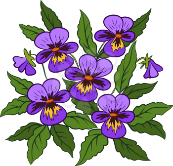 Flowers Pansies, Viola, Green Leaves and Violet Petals Isolated on White Background. Vector