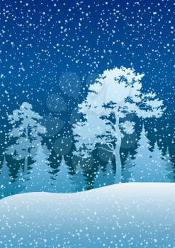 Night Winter Christmas Woodland Blue Landscape with Pine and Fir Trees silhouettes and Blue Sky with Snow. Vector