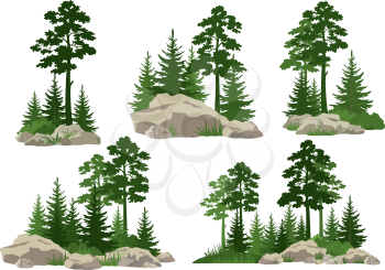 Set Landscapes, Isolated on White Background Silhouettes Coniferous and Deciduous Trees and Grass on the Rocks. Vector