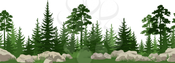 Seamless Horizontal Summer Landscape with Green Pine, Fir Trees, Bushes and Grass on the Stones. Vector