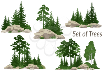 Set Landscapes, Isolated on White Background Coniferous and Deciduous Trees, Flowers and Grass on the Rocks. Vector