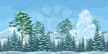 Seamless Horizontal Christmas Winter Forest Landscape with Pine, Birch, Firs Trees and Sky with Snow and Clouds. Vector