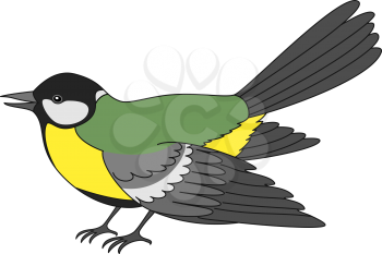 Cartoon bird titmouse, isolated on white background. Vector