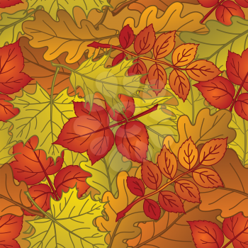 Autumn seamless nature background with leaves of different plants, red, orange and yellow. Vector