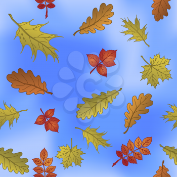 Seamless nature background with autumn leaves of different plants flying over the blue sky. Vector