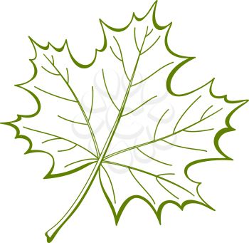 Leaf of a maple, nature symbol, monochrome vector, isolated pictogram