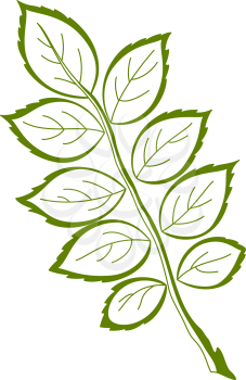 Leaf of dogrose, nature vector, monochrome, isolated pictogram