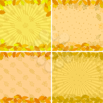 Autumn backgrounds set with various leaves brown, orange and yellow. Vector