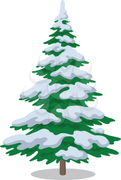 Christmas fir tree with snow, holiday winter symbol, isolated on white. Vector