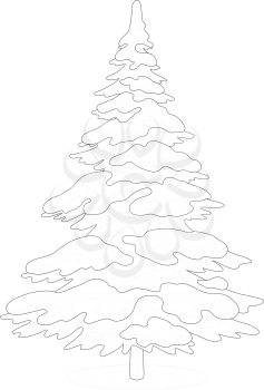 Christmas fir tree with snow, holiday winter symbol, isolated on white, contour. Vector