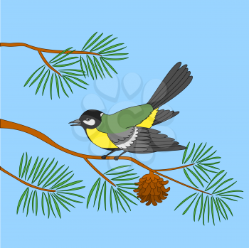 Bird titmouse sitting on pine branch against blue sky. Vector