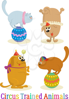 Set of Cheerful Kind Circus Trained Animal, Dogs and Cats, Holiday Illustration, Funny Cartoon Characters, Isolated on White Background. Vector