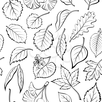 Seamless Nature Background with Black Pictogram Tree Leaves, Oak, Willow, Liquidambar, Hawthorn, Poplar, Aspen, Hazel, Ginkgo Biloba, Elm, Birch, Alder, Linden, Hornbeam, Chokeberry and Lilac. Vector