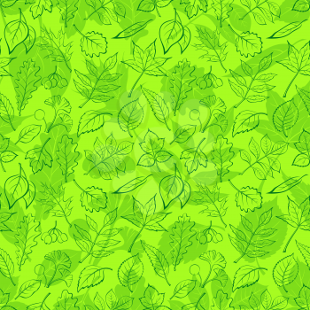 Seamless Background, Green Summer Leaves Contours and Silhouettes Oak, Iberian Oak, Raspberry, Willow, Liquidambar, Hawthorn, Aspen, Ginkgo Biloba, Elm Karagach, Birch, Ash, Chestnut, Sambucus. Vector