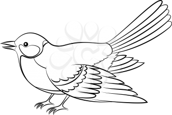 Realistic Cartoon Bird Titmouse, Black Contour Isolated on White Background. Vector