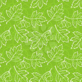 Seamless Background with Pictogram White Leaves of Hawthorn Tree, Tile Green Nature Pattern. Vector