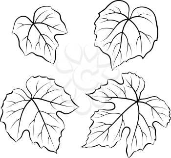 Set of Plant Pictograms, Grape Leaves, Black on White. Vector