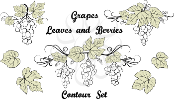 Set of Plant Pictograms, Grape Berries and Leaves, Black Contour on White Background. Vector