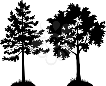 Set of Silhouette Forest Trees, Pine and Maple, Black Pictogram Elements Isolated on White Background for your Design. Vector
