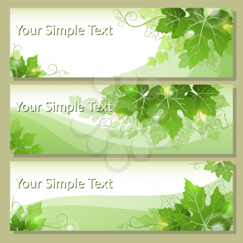 Set of Shopping Tags, Labels, Stickers or Business Cards with Grape Leaves, Green and Contours. Eps10, Contains Transparencies. Vector